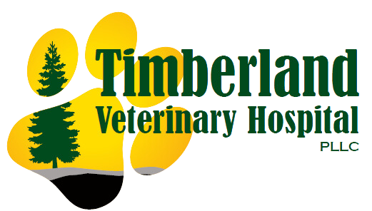Timberland Veterinary Hospital
